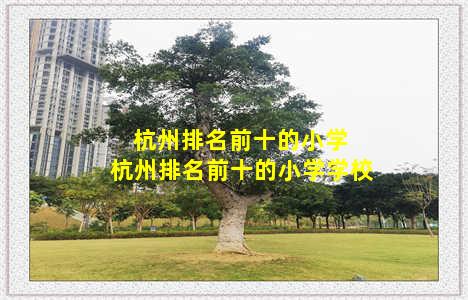 杭州排名前十的小学 杭州排名前十的小学学校
